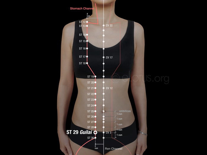 Guilai (ST 29) Master Tung's Acupuncture eLotus CORE